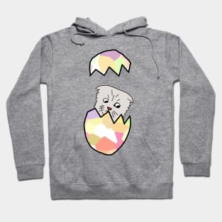 Not a Cat Popping Out of Funny Animals Easter Egg Hoodie